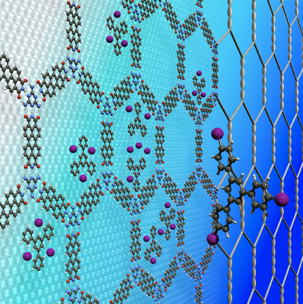 This image has an empty alt attribute; its file name is ullmann-cover.jpg